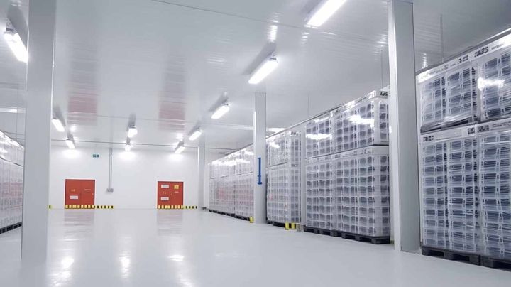 Understanding Cold Storage Features: Temperature Monitoring & Backup Systems